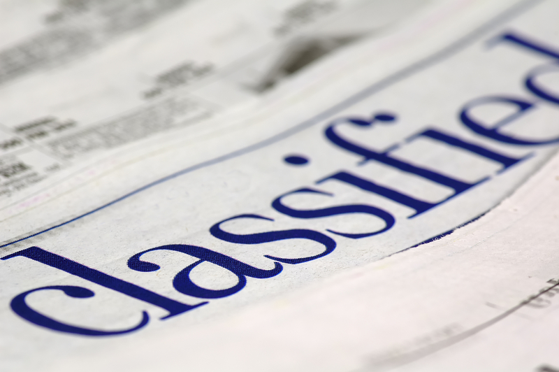 Castor Classified Ads PHP Script
